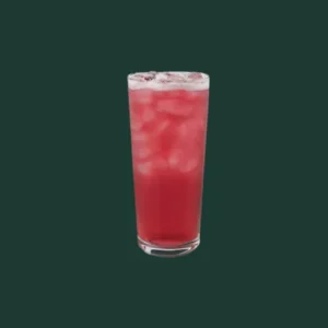 Starbucks Best Drinks To Try in 2025 24 Starbucks Iced Passion Tango%C2%AE Tea